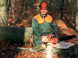 Qualsafe Level 3 Emergency First Aid at Work & Forestry First Aid Combined (EFAW+F) (RQF)