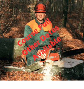 Qualsafe Level 3 Emergency First Aid at Work & Forestry First Aid Combined (EFAW+F) (RQF)